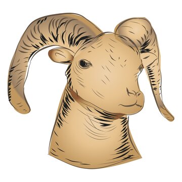 Goat Head Logo Icon Sign Vector Illustration