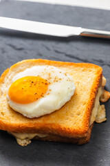 toast with cheese served with fried egg