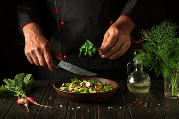 Chef prepares fresh vegetable salad. The idea of a diet breakfast or dinner. Grand cuisine