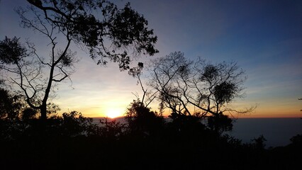 the twilight sky seen from behind the bushes and trees, orange with a forest silhouette