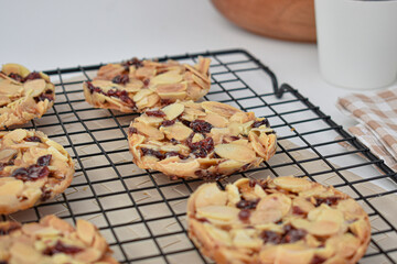 Almond cranberry florentine 