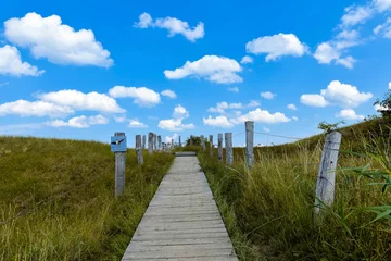 Deurstickers Weg im Naturschutzgebiet Sehlendorfer Binnensee in Schleswig-Holstein © Andrea