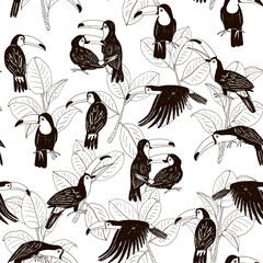 toucan tropical bird with ficus leaves vector seamless pattern