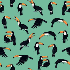 toucan tropical bird vector seamless pattern