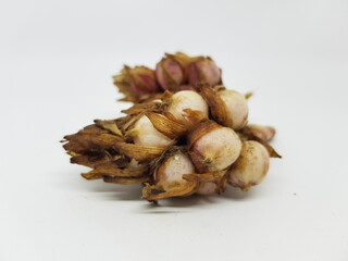 close up of dried fruits. cardamom on a white background. cardamom or spices sought after by the western world