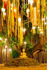 Buddha image sitting under a Bodhi tree