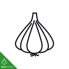 Garlic bulb vegetable line icon vector illustration