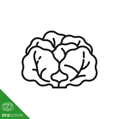 Butterhead lettuce line icon vector illustration
