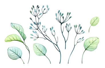 Watercolor branches set. Big collection of hand painted botanical illustrations isolated on white. Abstract Transparent collection of realistic leaves and seeds in green and turquoise