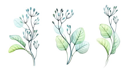 Watercolor branches and berries set. Collection of hand painted botanical illustrations isolated on white. Abstract Transparent vertical bouquets in green and turquoise