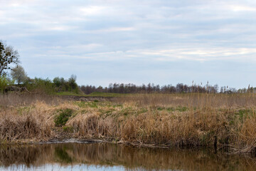 river in a village in Ukraine. The river Ikva in the Rivne region