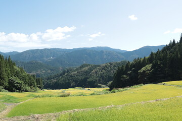 Obraz premium 田舎の風景