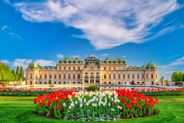 Fotobehang Wenen De stadshorizon van Wenen Oostenrijk bij Paleis Belvedere en mooie tulpenbloem