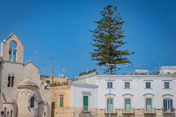 Trani is a seaport of Apulia, in southern Italy, on the Adriatic Sea.