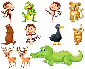 Fotobehang Set of animal cartoon character © GraphicsRF