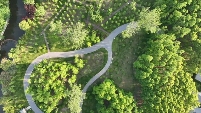Drone aerial view of path and trees in the park. Cozy calm top view of garden and park with good environment in the city. .  Environment conservation, green energy, life style  concept b-roll footage.