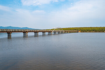 Fototapeta na wymiar 十三湖　中の島ブリッジパーク