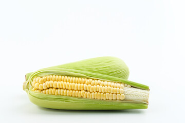Organic sweet corn isolated on a white background. Copy space.
