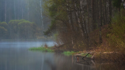 a small pier on a foggy mystical lake at dawn in the summer in the forest