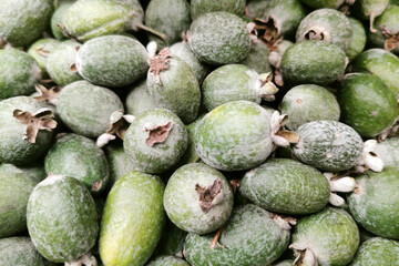 Feijoa fruit (Acca sellowiana) green exotic fruit background