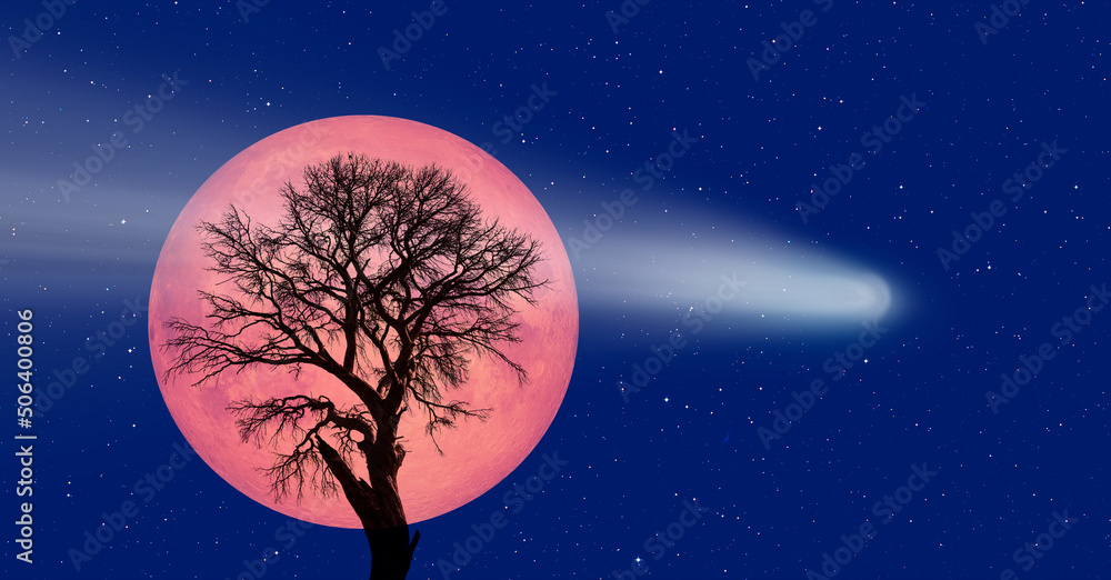 Aufkleber Beautiful view of lonely trees and a comet in the sky with a full moon in the background 