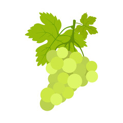 Grapes icon. Colorful fruits on a white background. Illustration.	