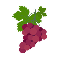 Grapes icon. Colorful fruits on a white background. Illustration.	