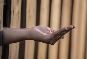 Hand begging for money from behind a fence. Concept. Problems of the hungry and proverty. Economic...