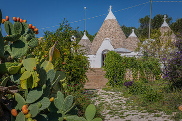 A trullo is a traditional Apulian dry stone hut with a conical roof.