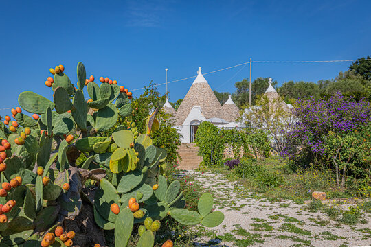 A trullo is a traditional Apulian dry stone hut with a conical roof.
