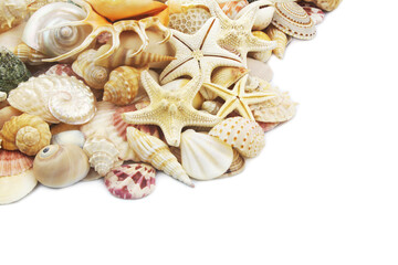 Starfishes and seashells isolated on white, space for text.	