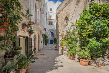 Fototapeta na wymiar Monopoli is a town and municipality in Italy, in the Metropolitan City of Bari and region of Apulia.