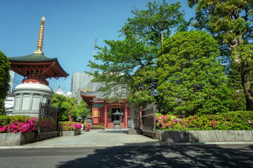 Fototapeta premium 東京、浅草寺の淡島堂と写経供養塔が見える初夏の境内風景