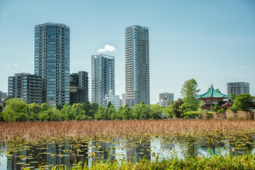 Obraz premium 上野恩賜公園の不忍池と高層ビルのリフレクションと不忍池弁天堂