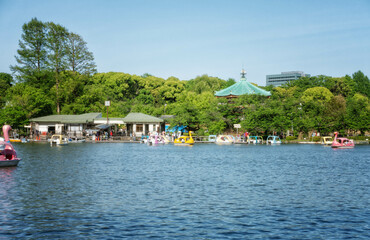 Fototapeta na wymiar 上野恩賜公園の不忍池に浮かぶスワンボートと不忍池弁天堂が見える初夏の風景