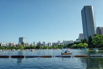 東京、上野恩賜公園の不忍池に浮かぶスワンボートと都市風景
