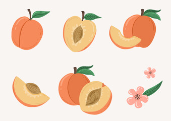 Set of peaches with leaves. Fruit cartoon doodle illustration