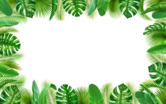 Posters with tropical 3D realistic leaves, frame background with summer greenery. Vector borders with spare place for text, floral jungle exotic foliage of monstera and palm trees decoration