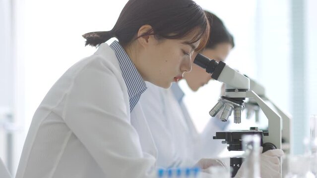 顕微鏡を覗く白衣の女性
