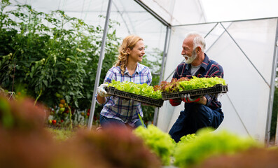 Fototapeta na wymiar Happy senior man working together with woman in family greenhouse business.