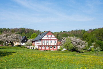 Fototapeta na wymiar Neu-Schirgiswalde in der Oberlausitz 
