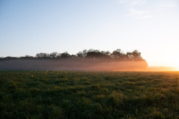 Paysage