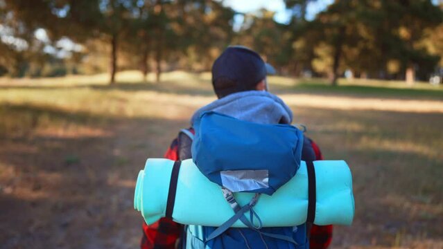 Man backpacker walking on pine forest. Successful man hiker with backpack at sunset time. Travel lifestyle wanderlust concept adventure outdoor vacations wild nature.