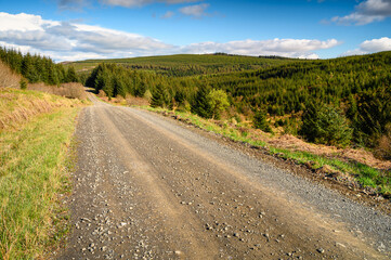 Fototapeta na wymiar Kielder Forest Drive on a sunny day, which is 12 miles long in the Dark Skies section of the Northumberland 250, a scenic road trip though Northumberland with many places of interest along the route