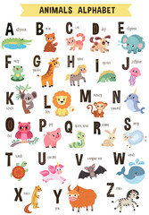 Obraz na płótnie Canvas illustration of cute animals from A to Z isolated on a white background. Children's alphabet in pictures.