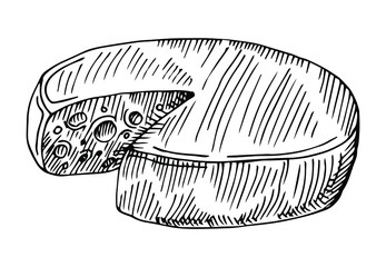 Cheese hand drawn vector illustration.