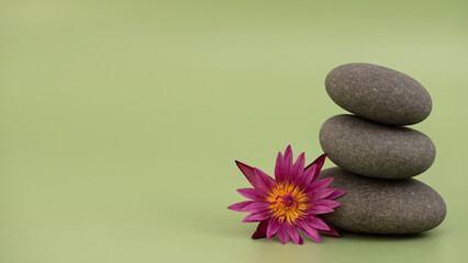 Obraz na płótnie Canvas Zen stones and water lily lotus flower on green background.