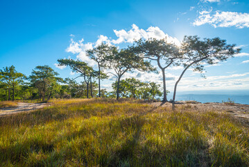 Fototapeta premium Panorama of Beautiful scenery landscape sunlight in the morning sunrise above flowing fog waves on mountain peak tropical rainforest. rainforest in the morning with fog and sunrise. Jurassic forest.