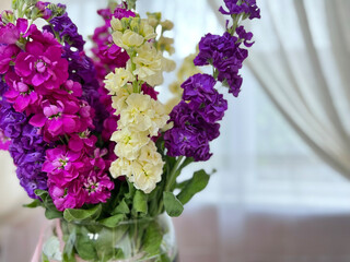 Levkoy or matthiola flower. colorful bouquet of flowers in the interior