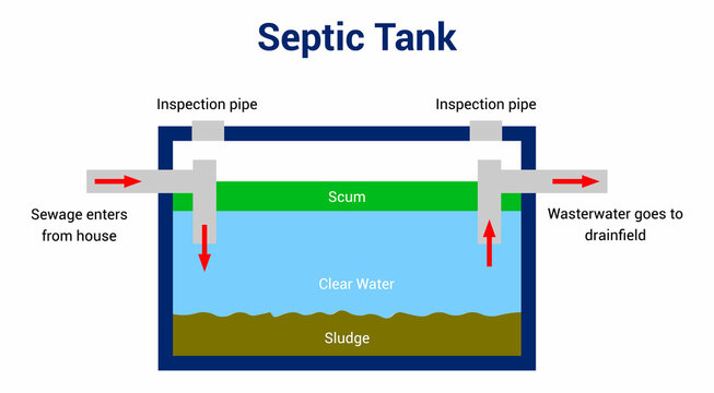 septic tank diagram vector illustration